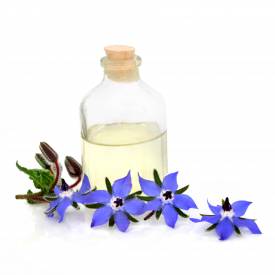 Borage oil, 18% GLA, Organic